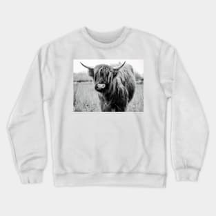 Young Highland Cow Crewneck Sweatshirt